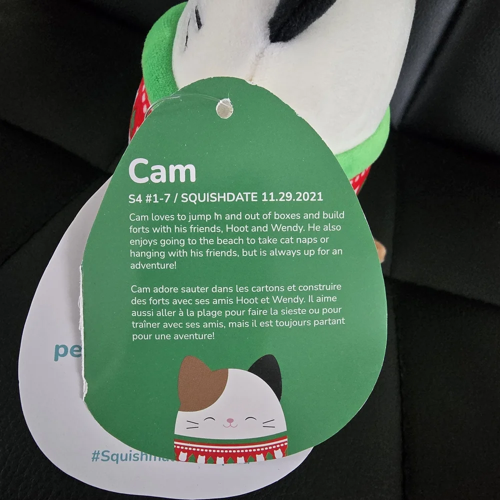 Squishmallows Cam 4